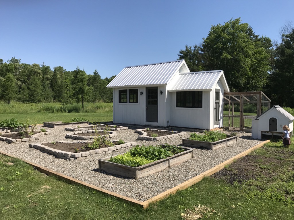 seven raised beds with no fence