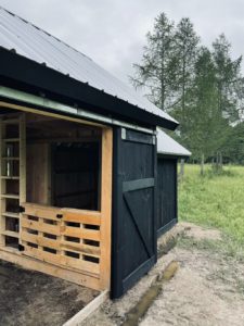 better to stain or paint a shed?