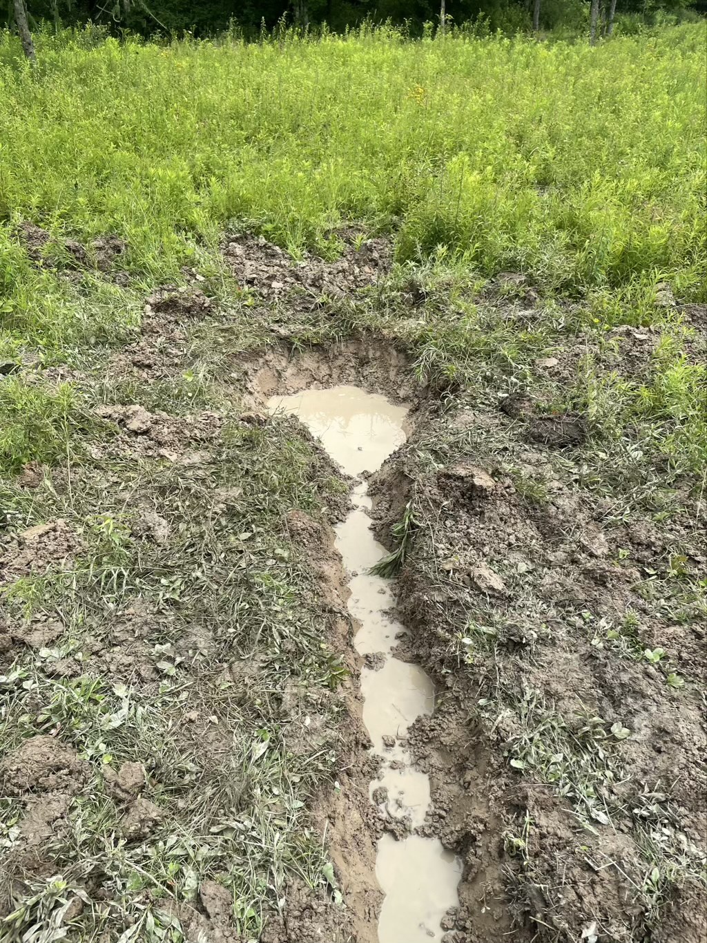 digging-out-drywell-for-sheep-shed-drainage » Tree Farm Design Co.