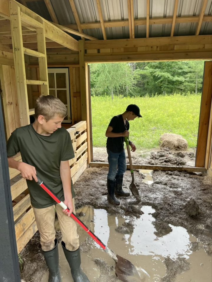 Growing Concerns: Cool weather good time for shed cleanup