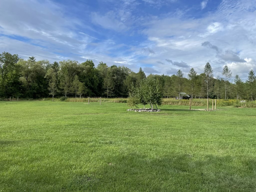 field-with-corner-gate-posts-tree-farm-design-co