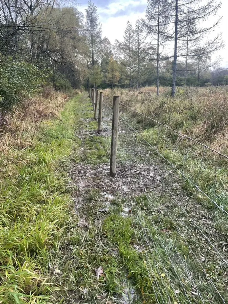 Muddy fence line