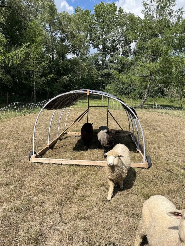 mobile sheep shade