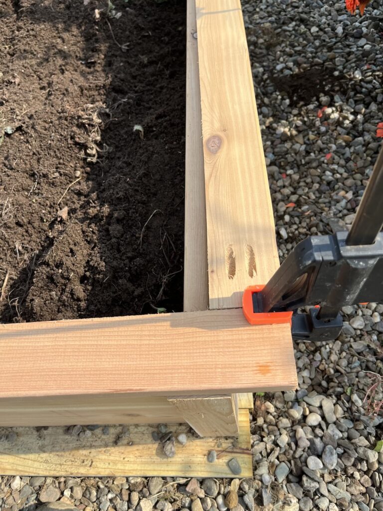 Assembling top trim of cedard raised garden bed