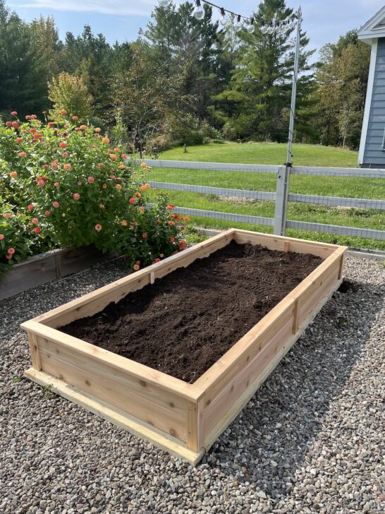 How to Make a Cedar DIY Raised Garden Bed » Tree Farm Design Co.