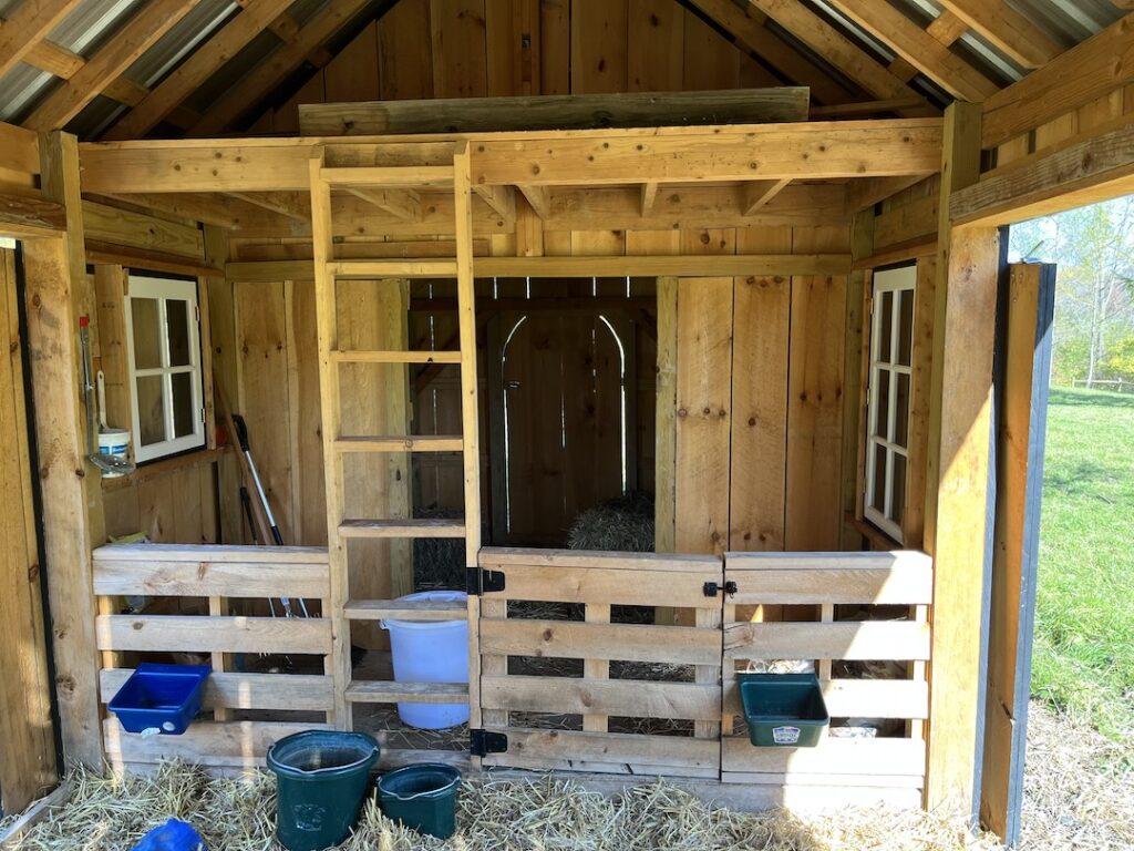 Small Animal Barn Layout Inside Sheep Shed