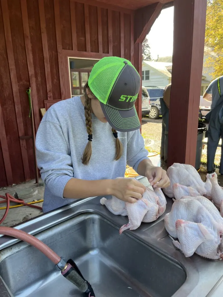 Checking for feathers during chicken butchering